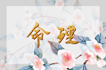 老黄历2026年黄道吉日,农历查询黄道吉日,黄历黄道吉日查询2026